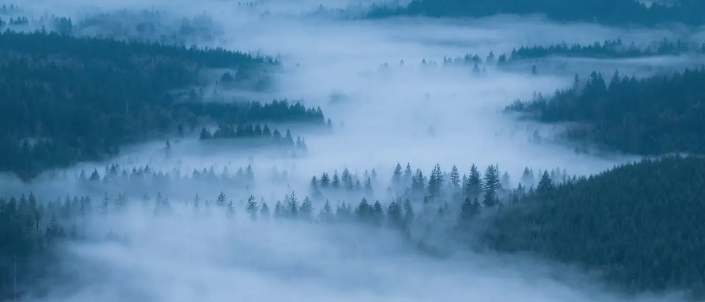 Fog lifting off layered forested ridges at dawn